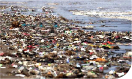 Une plage saturée de déchets