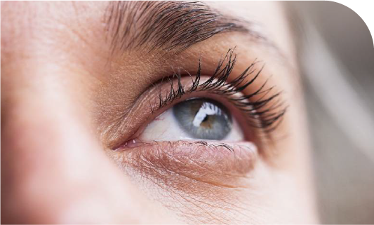 oeil de femme
