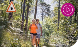 Deux personnes qui se baladent en forêt, avec un panneau attention aux tiques.