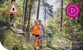 Deux personnes qui se baladent en forêt, avec un panneau attention aux tiques.