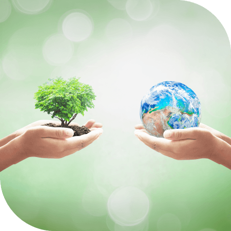 une main tenant un petit arbre et une autre tenant la planète terre