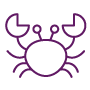 picto d'un crabe