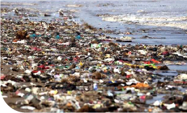 Une plage saturée de déchets